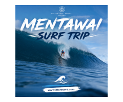 Mentawai Surf Trip