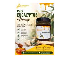 Pure Eucalyptus Honey with Rich Aroma and Great Taste