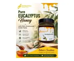 Pure Eucalyptus Honey with Rich Aroma and Great Taste