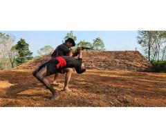 Kalari Kendram Kerala Learn India s Ancient Martial Art - 2