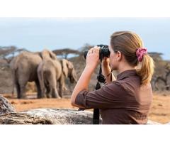 How To Apply for Zimbabwe e-Visa