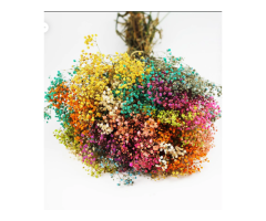 Built to Survive a UK Heatwave-Summer Dried Flower Bouquet