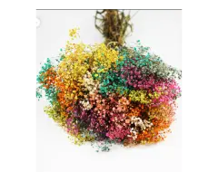 Built to Survive a UK Heatwave-Summer Dried Flower Bouquet