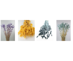 Built to Survive a UK Heatwave-Summer Dried Flower Bouquet - 4