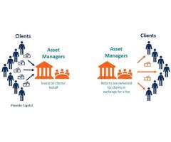 Still Using Spreadsheets Try Asset Management Software India Today