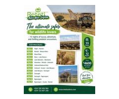 Affordable Tanzania Safari Packages from India with Kenya Tanzania Tours