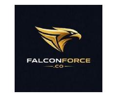 GMB SEO Service In Ludhiana - Falcon Force