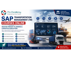 How SAP Transportation Management TM Courses Online Help Professionals Achieve Career Growth