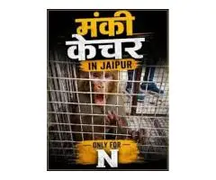 Monkey Catcher Jaipur Rajasthan Ki 1 Bander Pakadne Wali Team