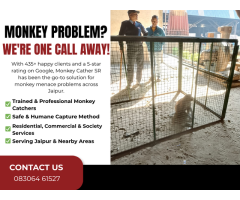 Monkey Catcher Jaipur Rajasthan Ki 1 Bander Pakadne Wali Team - 3