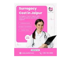 Surrogacy Cost in Jaipur