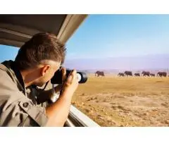Affluent Safaris Ltd Offers the Most Memorable Masai Mara Wildlife Safari Packages in Kenya - 2