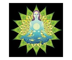 Namaste Skincare & Wellness
