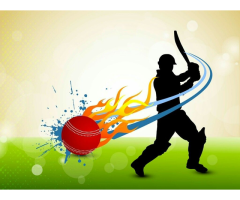 Diamond Exchange Trusted Platform for Online Cricket & Casino Betting