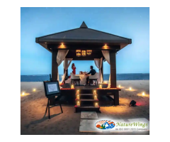 Create Lifelong Memories with Bali Packages from Kolkata - 3