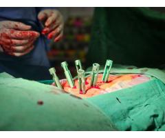 Spine Surgeon in Kozhikode, Kerala - 9