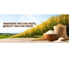 Top 10 Basmati Rice Exporters From India Trusted Global Supplier