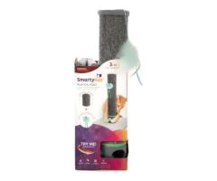 Professional Cat Grooming Essentials for a Healthier, Happier Pet - 6