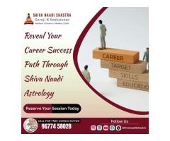 Authentic Shiva Naadi Astrology Guidance for Career, Family & Life Problems - 2
