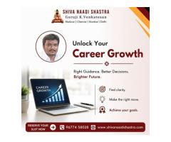 Authentic Shiva Naadi Astrology Guidance for Career, Family & Life Problems - 4