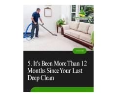 Carpet Cleaning Experts in North Brisbane Professional Carpet Cleaning Solutions