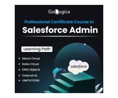 CRM-Focused Salesforce Admin Online Training by GoLogica Administrator Certification