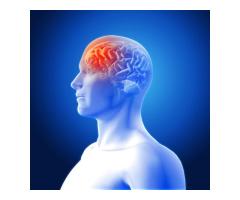 Top Psychiatrist in Ranchi Specialized Therapy at Compos Mentis - 2