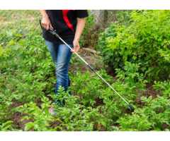 Dependable Lawn Care for Homes & Businesses in Lethbridge
