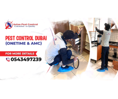 Professional Pest Removal Best Service & Prices