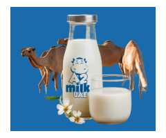 Raw Camel Milk UAE Buy Fresh Raw Camel Milk Online a2milkuae - 3