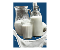 Raw Camel Milk UAE Buy Fresh Raw Camel Milk Online a2milkuae - 4