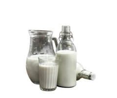 Raw Camel Milk UAE Buy Fresh Raw Camel Milk Online a2milkuae - 5