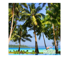 Why Choose an Andaman Tour Package from Kolkata for Your Next Holiday - 5