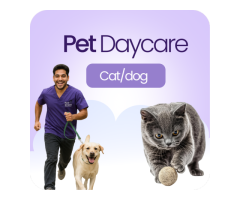 Pet Care Services Dubai Paw Street