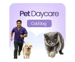 Pet Care Services Dubai Paw Street