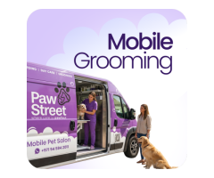 Pet Care Services Dubai Paw Street - 3