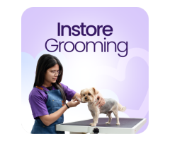 Pet Care Services Dubai Paw Street - 4