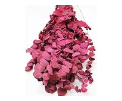 Order Bulk Dried Flowers UK -Up to 35% Discount Applied Automatically at Checkout