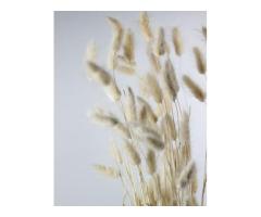 Order Bulk Dried Flowers UK -Up to 35% Discount Applied Automatically at Checkout - 5