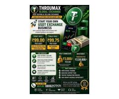 USDT Cash Collection Agent Business Opportunity