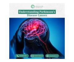 Understanding Parkinson s Disease Causes