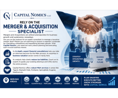 Capital Nomics- Rely on the Merger and Acquisition Specialist