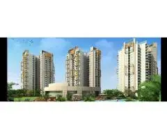 Flats for Rent in Noida Extension Smart Living