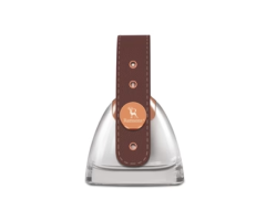 Luxury Floral Perfume for Women with Timeless Appeal Grace Eau De Parfum