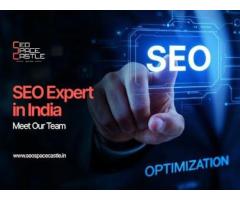 SEO Expert in Mohali meet the team behind SEO Space Castle