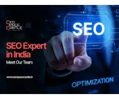 SEO Expert in Mohali meet the team behind SEO Space Castle