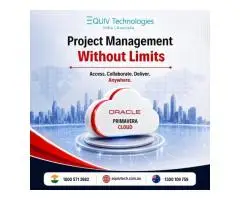 Improve Project Visibility with Oracle Primavera P6 Experts - 2