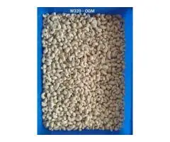 Navi Mumbai cashew nuts wholesaler in Maharashtra - 2