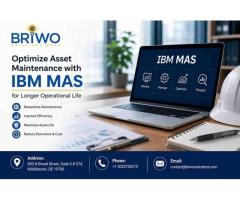 Maximo Support Services