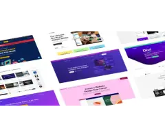 The most popular WordPress Themes in